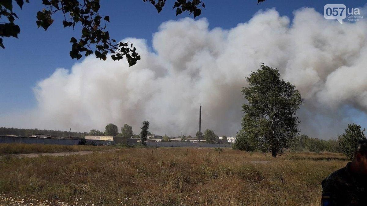 Лесные пожары на Харьковщине 2 сентября 2020: видео, фото