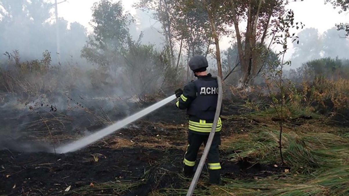 Пожежа на Луганщині