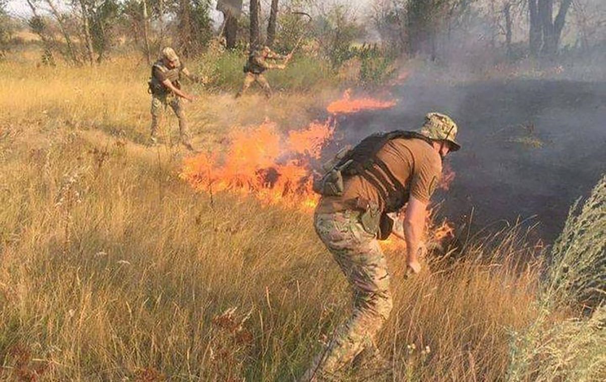 Масштабні пожежі в Луганській області: фото, відео