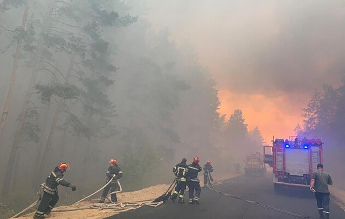 Пожар в Луганской области 8 сентября 2020: фото, видео – новости