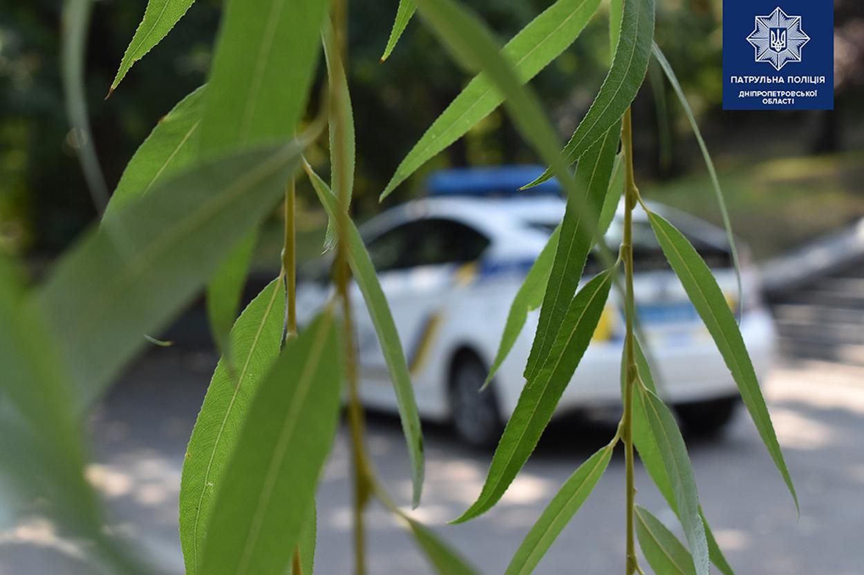 Мужчина предложил экипажу полиции вместе покурить коноплю Мужчина предложил экипажу полиции вместе покурить коноплю