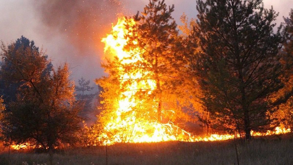 Пожар в оккупированной Макеевке уничтожил много домов, есть погибшие