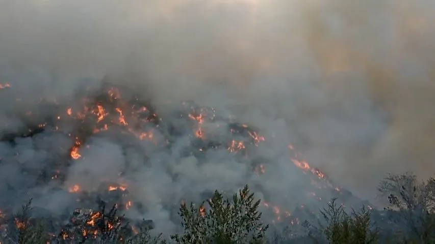 пожежа на сміттєзвалищі на Полтавщині