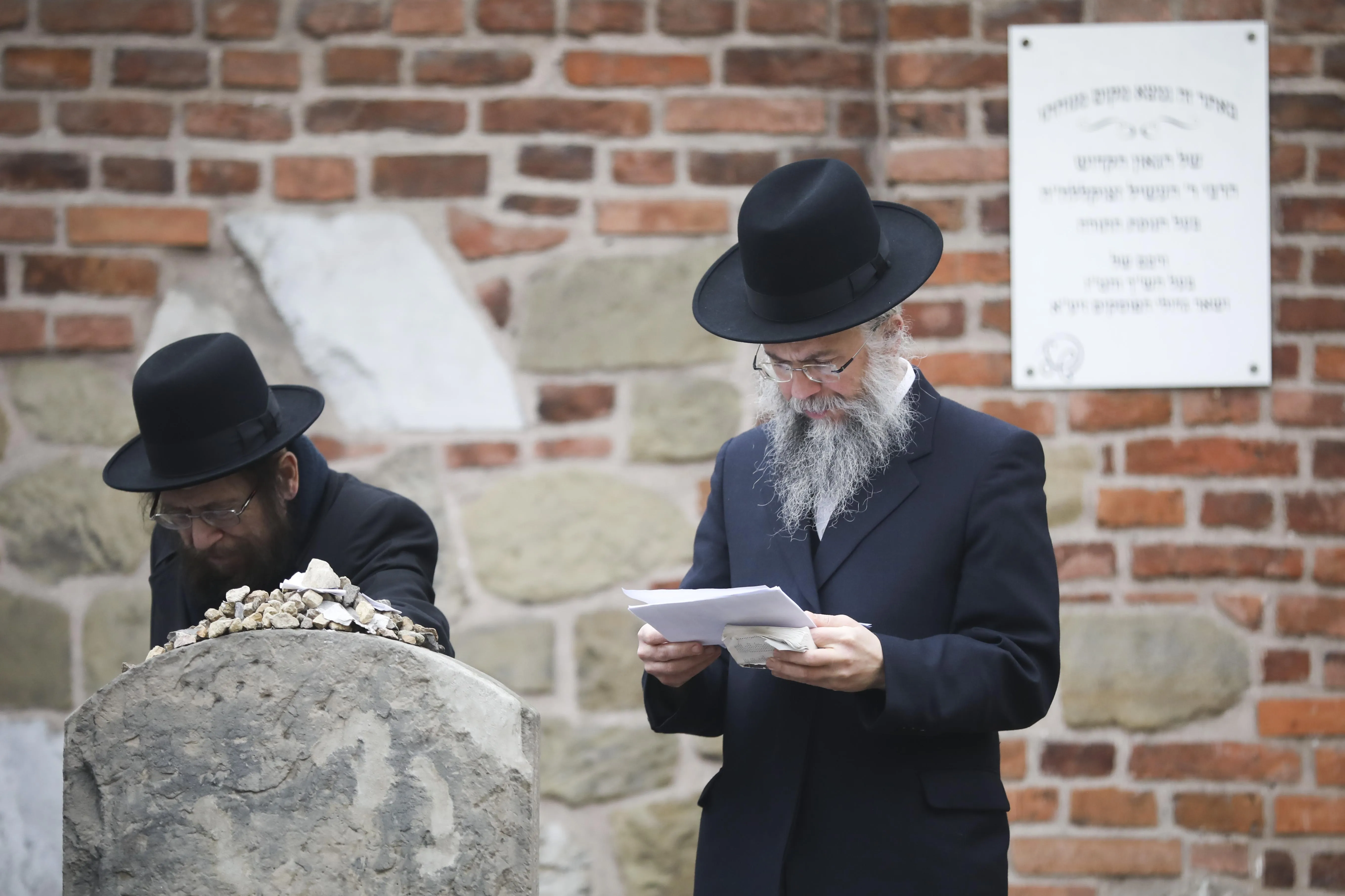 хасид хасид