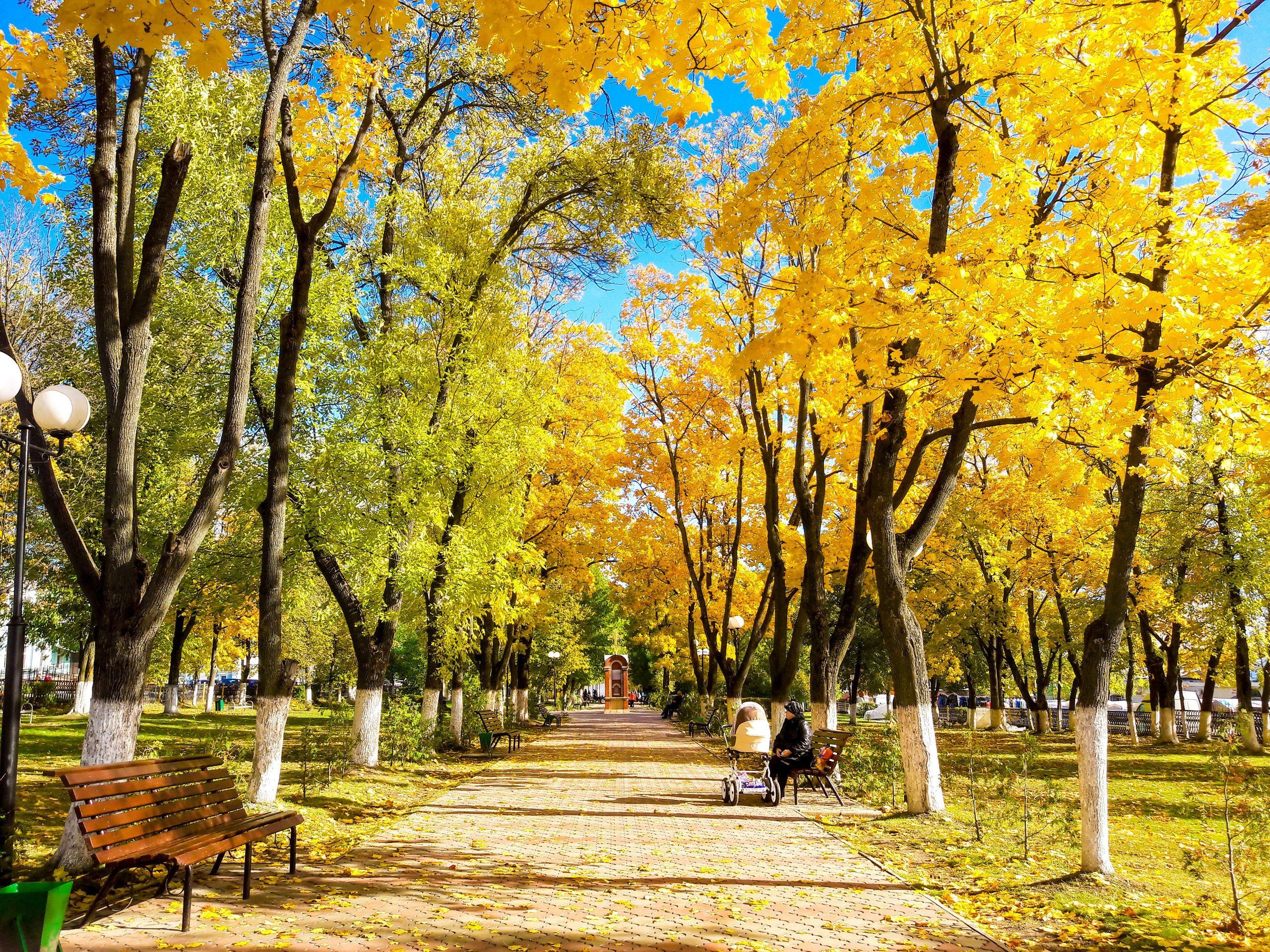 Погода 6 вересня 2020 Україна: яку погоду обіцяє синоптик Погода 6 вересня 2020 Україна: яку погоду обіцяє синоптик