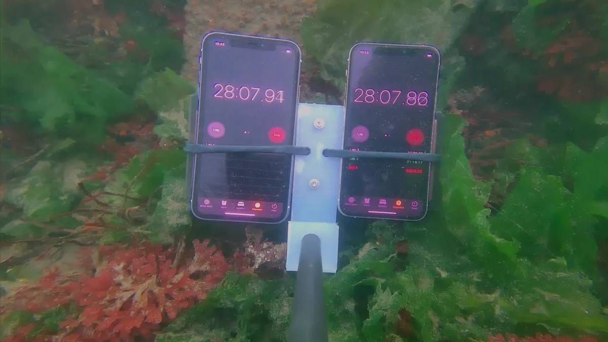 Тест на живучесть: iPhone 11 погрузили под воду на 8 месяцев