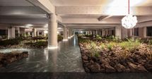 Ручеек в гостиной и мох на столе: экоинтерьер из Южной Кореи – фото