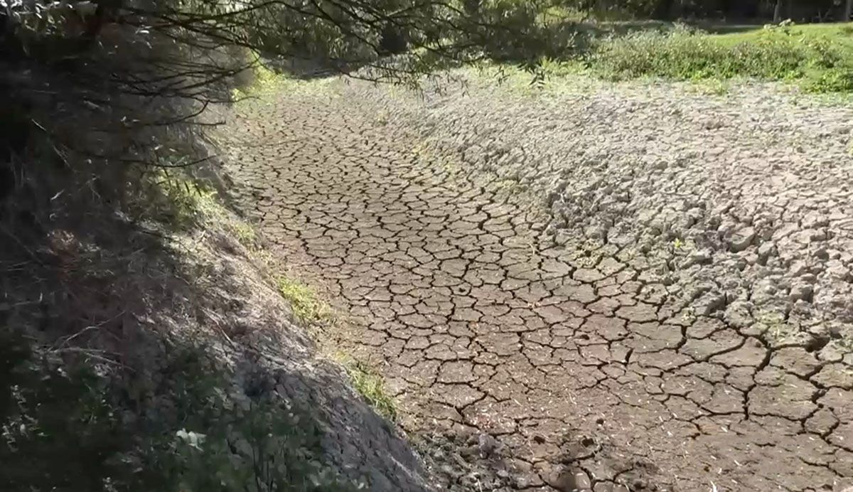 Крим страждає від засухи: чи може Україна відновити постачання води