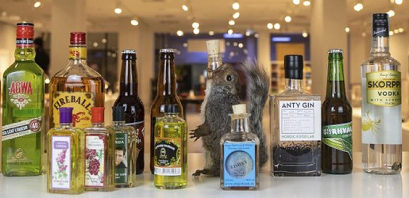 У Швеції відкрили виставку дивного алкоголю