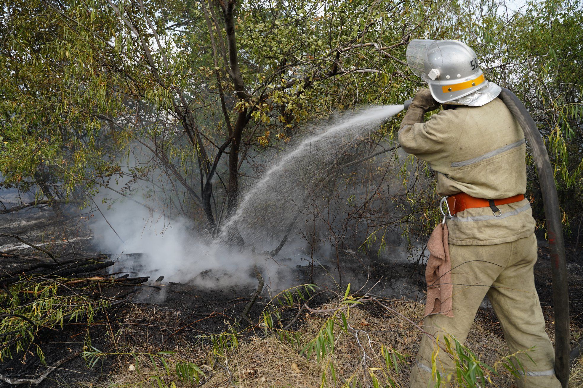 Пожежа на Донеччині у селі Гладосове 5 вересня 2020