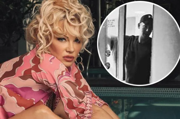 Памела Андерсон Памела Андерсон