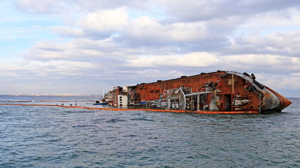  Неподалеку затонувшего танкера Delfi снова нашли мертвого дельфина