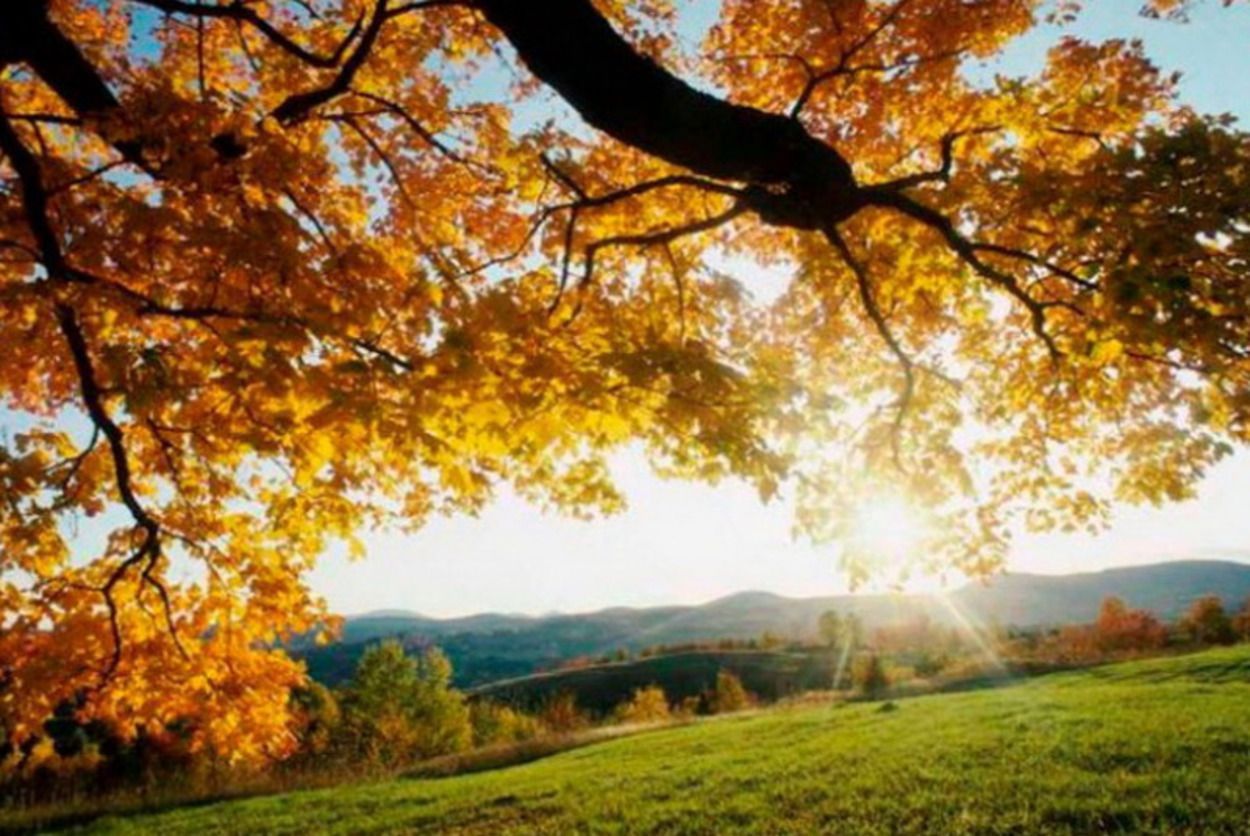 Погода 8 сентября 2020 Украина: какую погоду обещает синоптик Погода 8 сентября 2020 Украина: какую погоду обещает синоптик