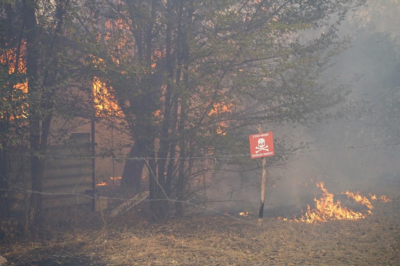 Лісова пожежа в Україні