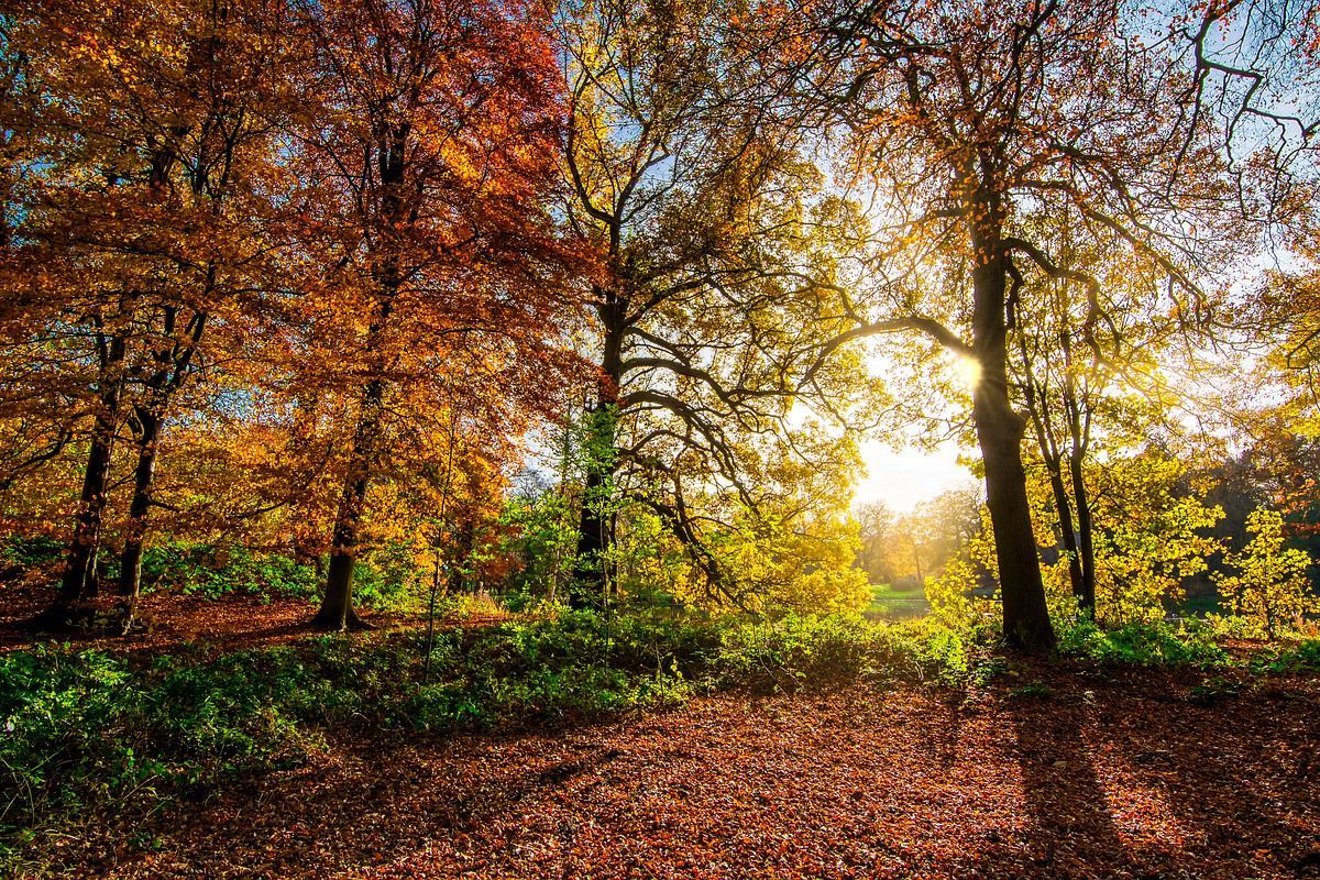 Погода 9 сентября 2020 Украина: какую погоду обещает синоптик Погода 9 сентября 2020 Украина: какую погоду обещает синоптик