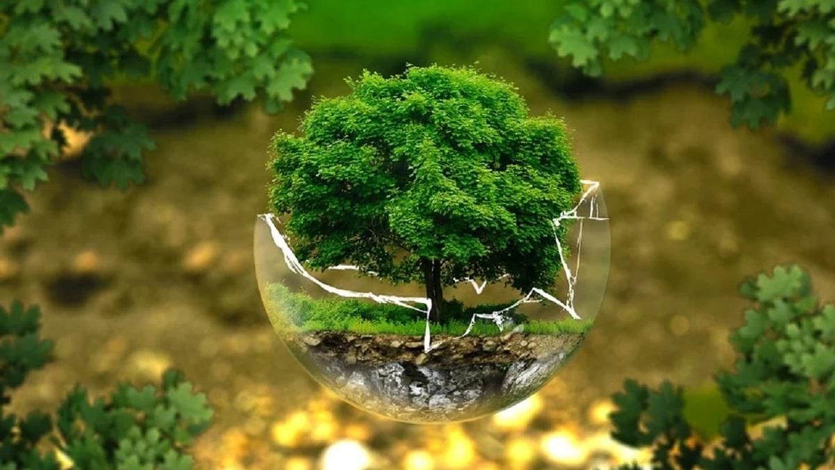 Передвиборні маніпуляції не дозволяють розвивати екологічно "чисті" технології, – експерт ООН Передвиборні маніпуляції не дозволяють розвивати екологічно "чисті" технології, – експерт ООН