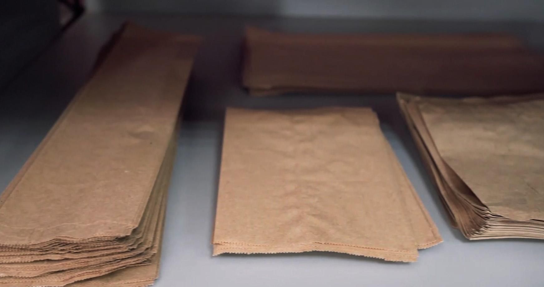 Хотят разорвать связи с братской Россией: Лукашенко против диалога с оппозицией Хотят разорвать связи с братской Россией: Лукашенко против диалога с оппозицией