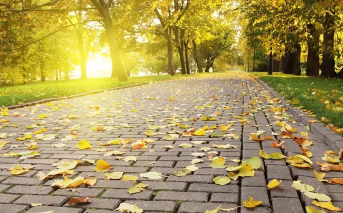 Погода 10 вересня 2020 Україна: яку погоду обіцяє синоптик Погода 10 вересня 2020 Україна: яку погоду обіцяє синоптик