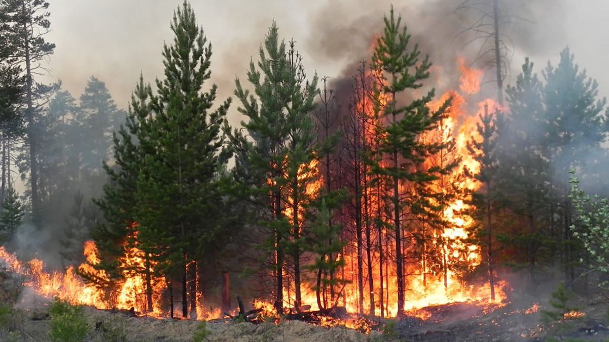 Пожежна небезпека в Україні 24 – 25 вересня  2020: перелік регіонів