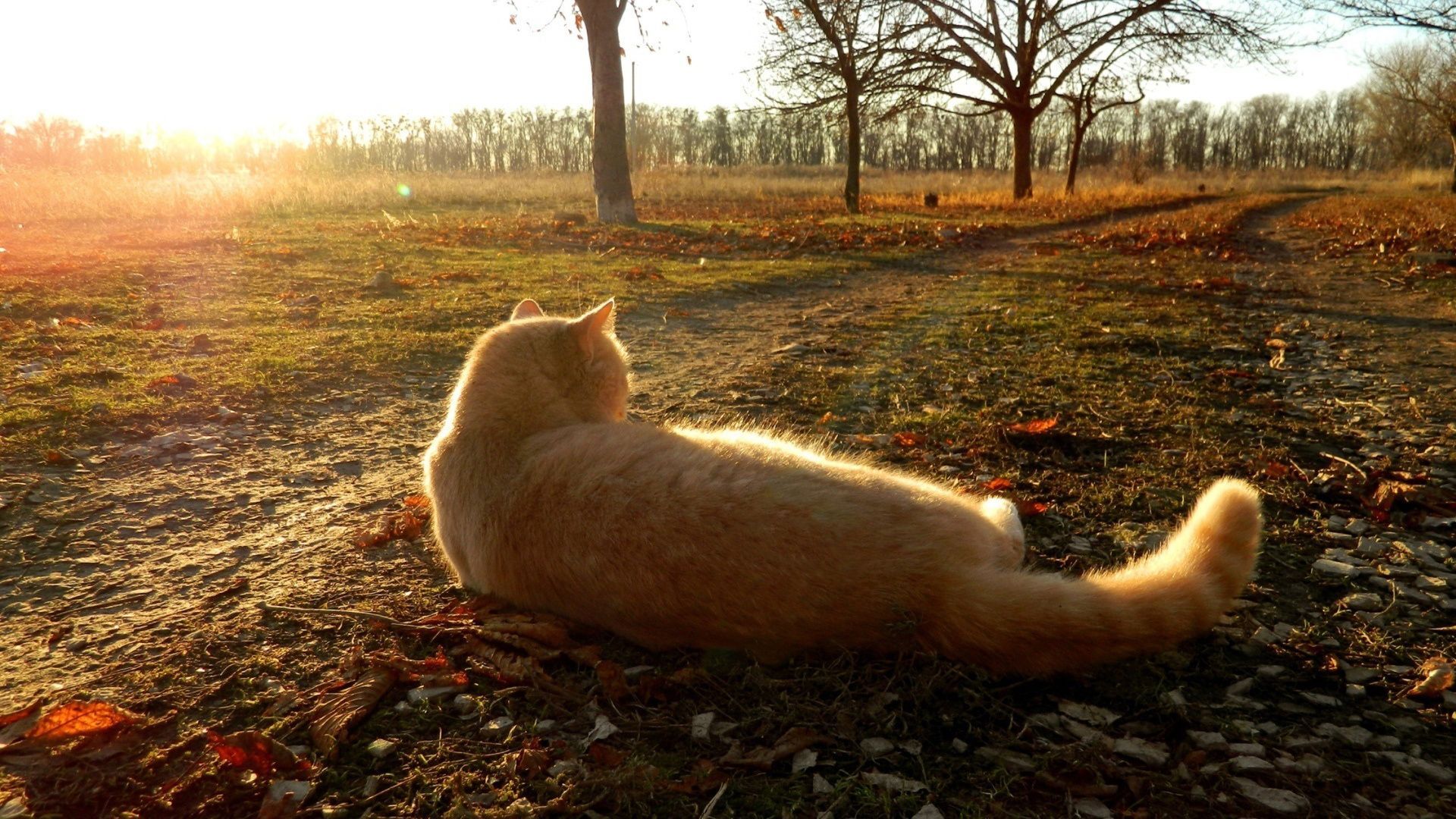 Погода 14 сентября 2020 Украина: какую погоду обещает синоптик Погода 14 сентября 2020 Украина: какую погоду обещает синоптик