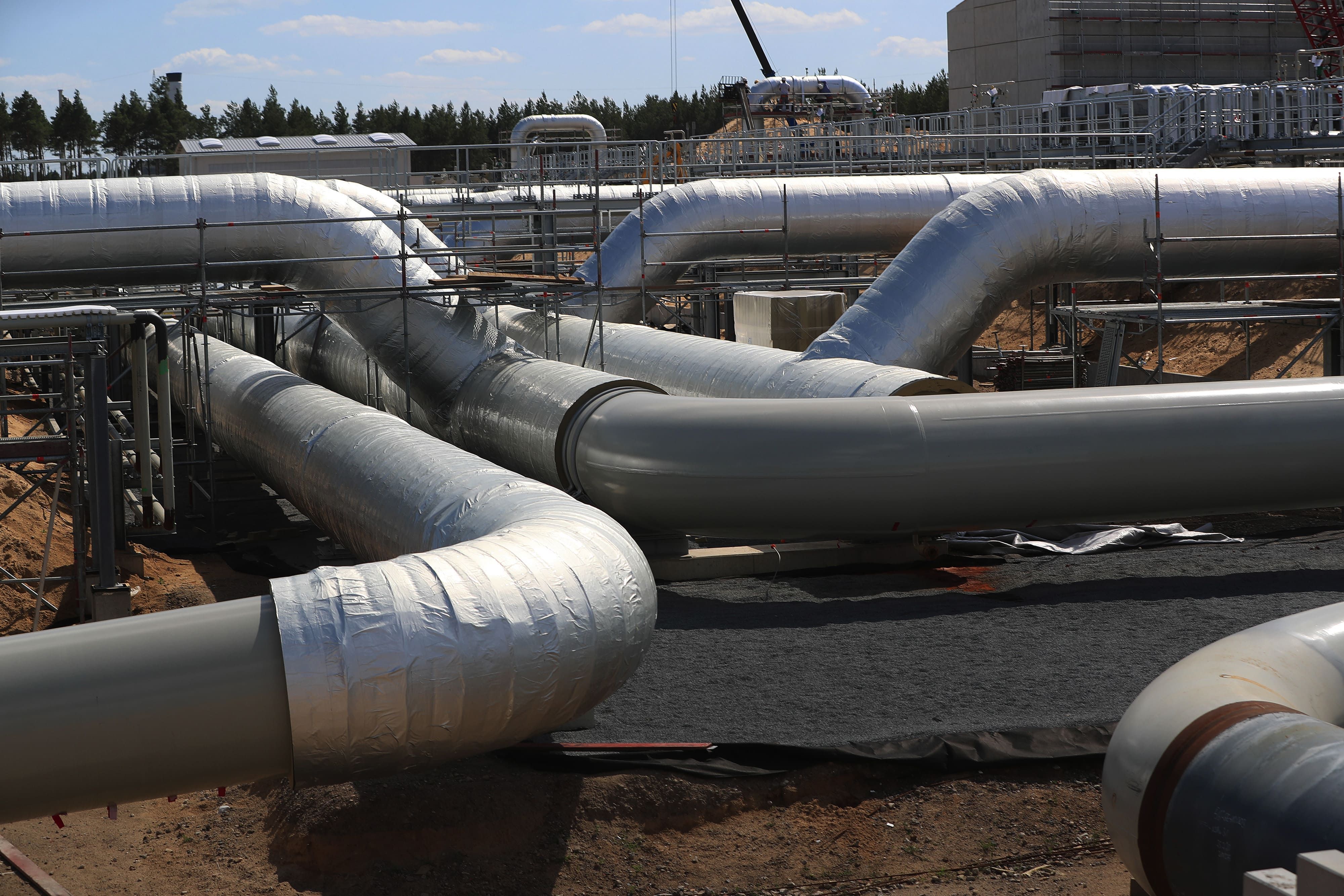 Реакция Германии на отравление Навального Реакция Германии на отравление Навального