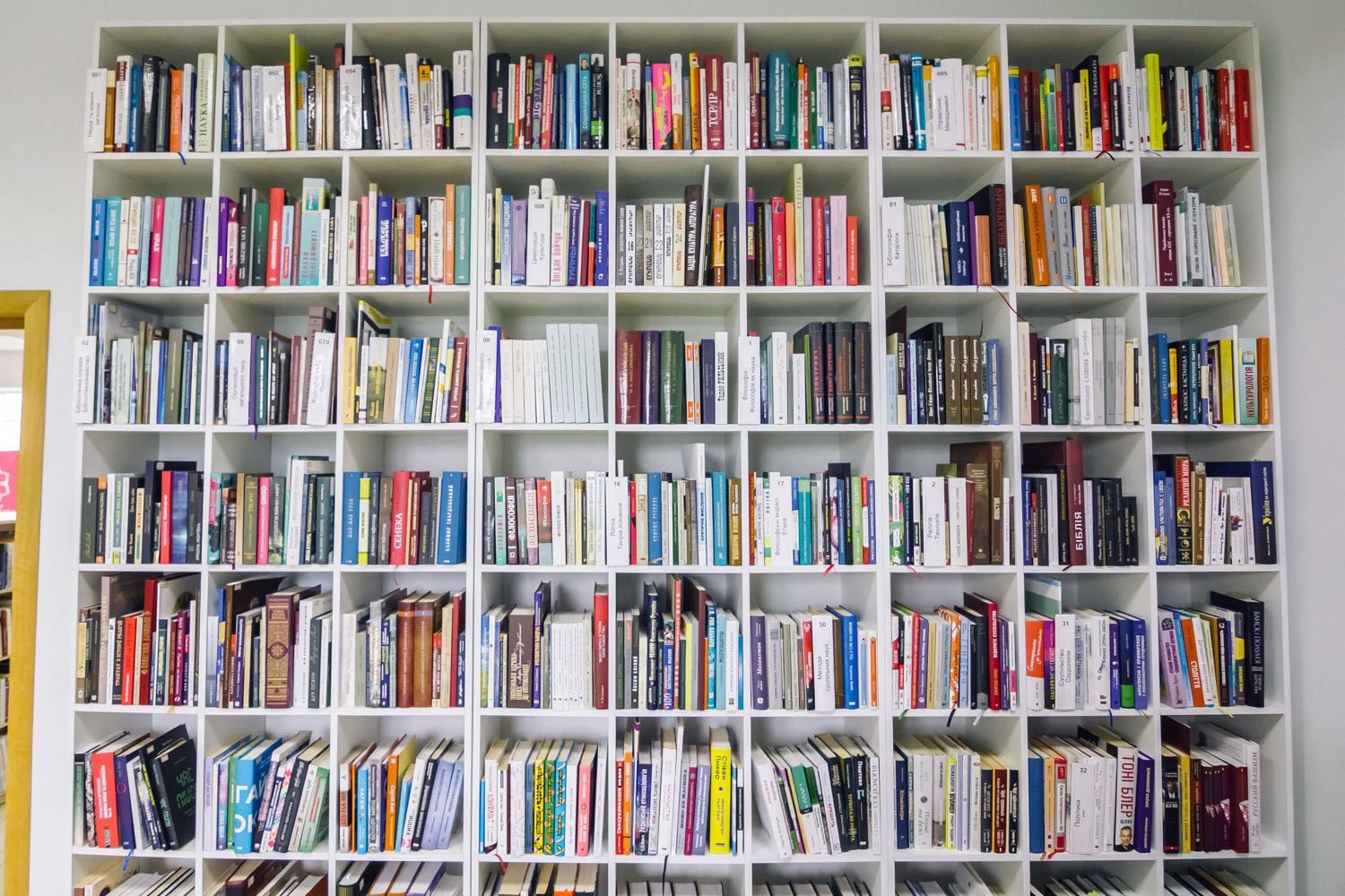 Переехала из оккупированного Луганска: Ukraиner показал новую жизнь библиотеки в Старобельске Переехала из оккупированного Луганска: Ukraиner показал новую жизнь библиотеки в Старобельске