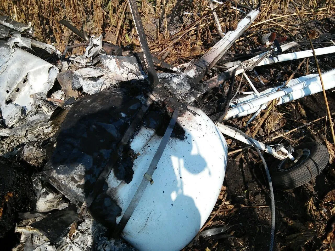На Сумщині розбився легкомоторний літак
