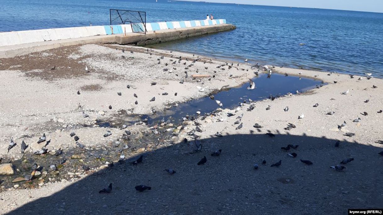 Скаржилась навіть Поклонська: на пляжі в окупованій Феодосії відпочивають серед нечистот – відео