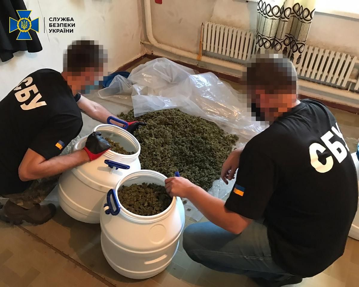Элитные сорта на миллионы гривен: в районе ООС накрыли лаборатории с марихуаной – фото