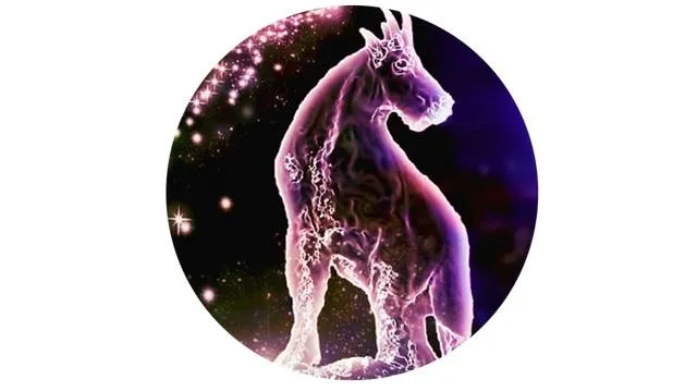 Гороскоп на січень для всіх знаків зодіаку Гороскоп на січень для всіх знаків зодіаку