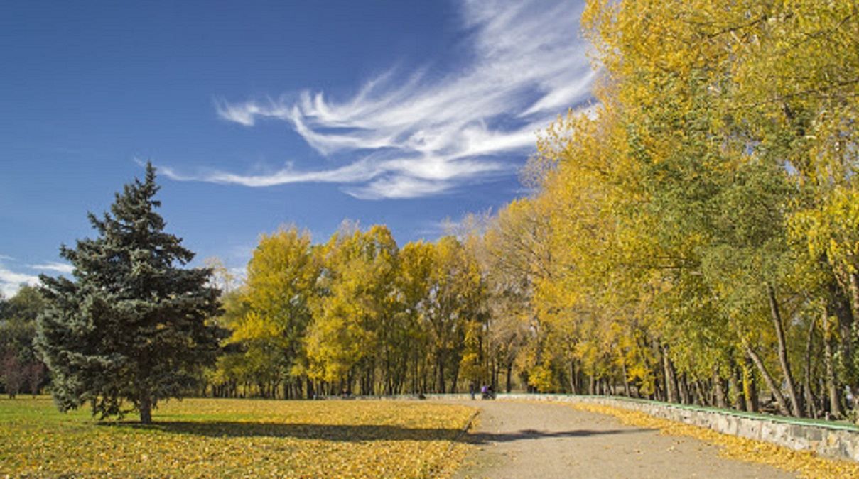 Погода 16 сентября 2020 Украина: какую погоду обещает синоптик Погода 16 сентября 2020 Украина: какую погоду обещает синоптик