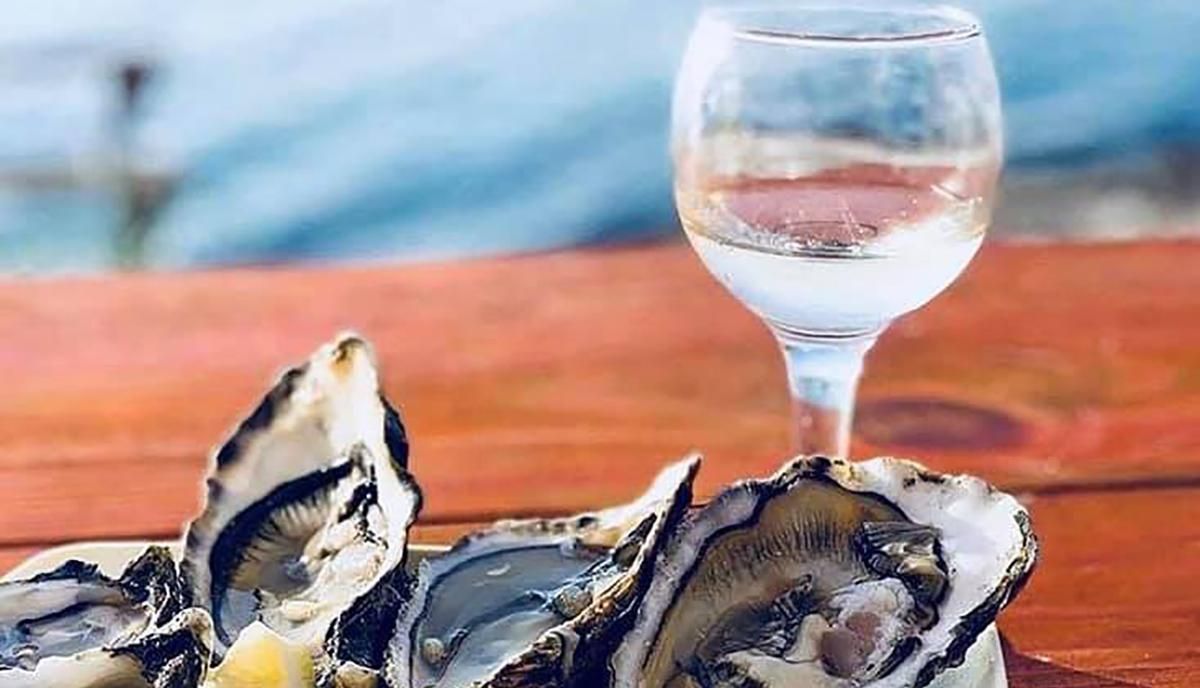 Приезжают со всего мира: как выглядит единственная в Украине устричная ферма – видео Приезжают со всего мира: как выглядит единственная в Украине устричная ферма – видео