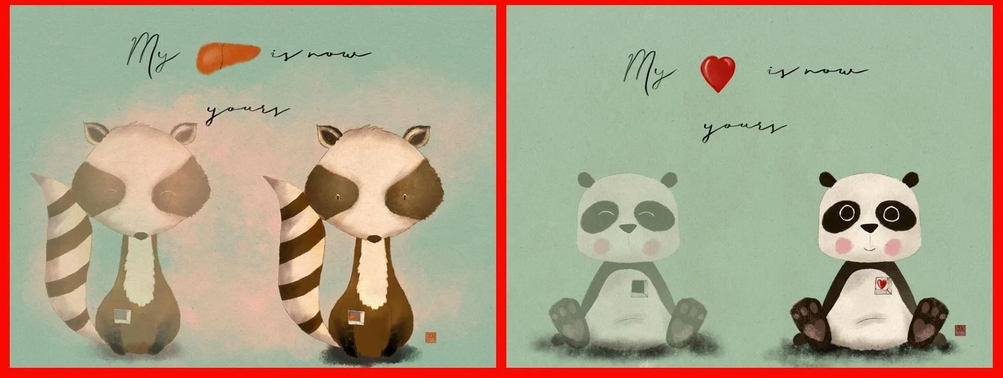 трансплантація трансплантація