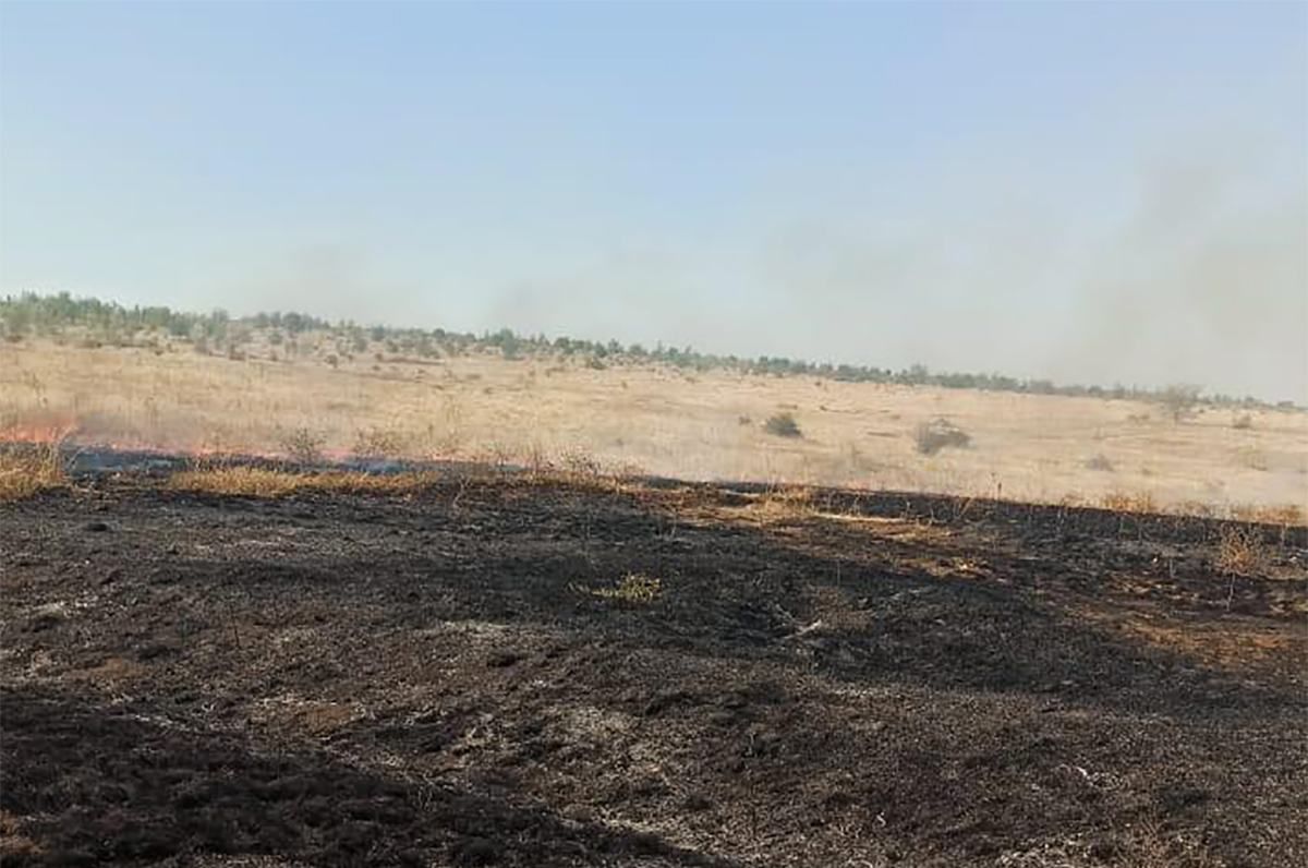 Масштабна пожежа спалахнула в заповіднику Миколаївщини: фото Масштабна пожежа спалахнула в заповіднику Миколаївщини: фото