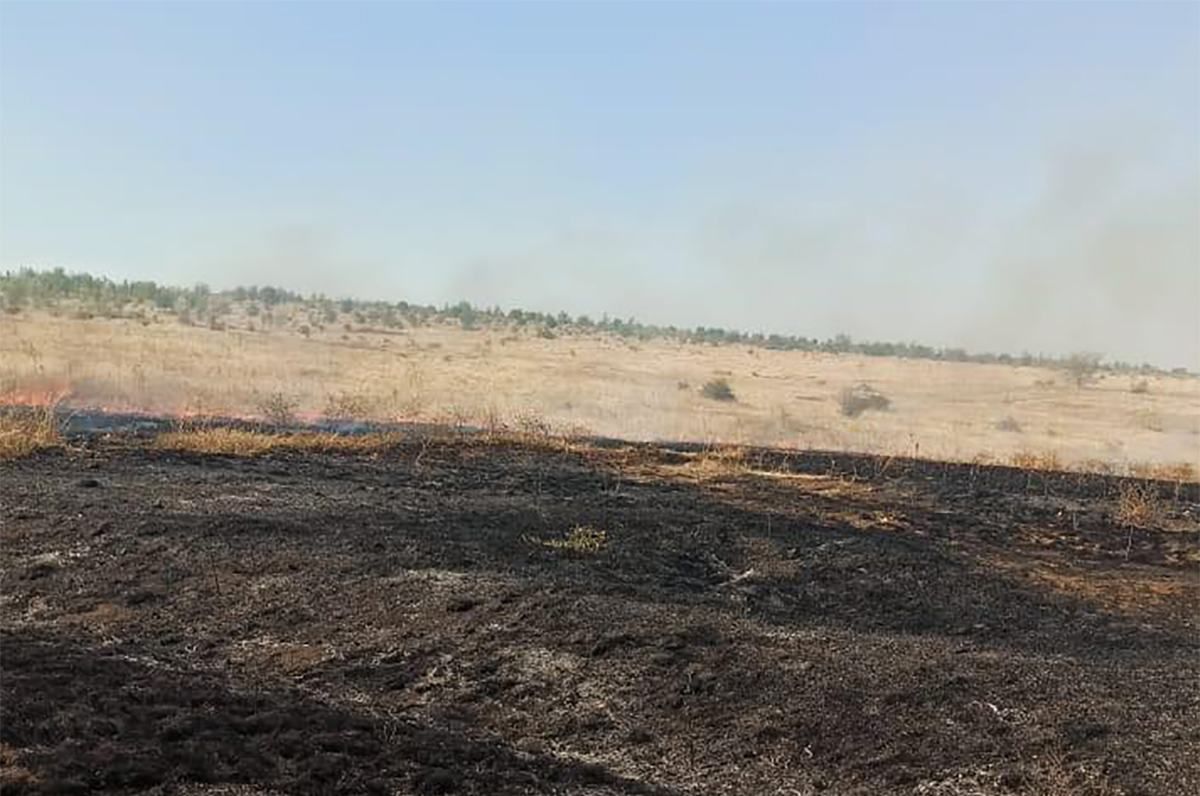 Масштабна пожежа спалахнула в заповіднику Миколаївщини: фото