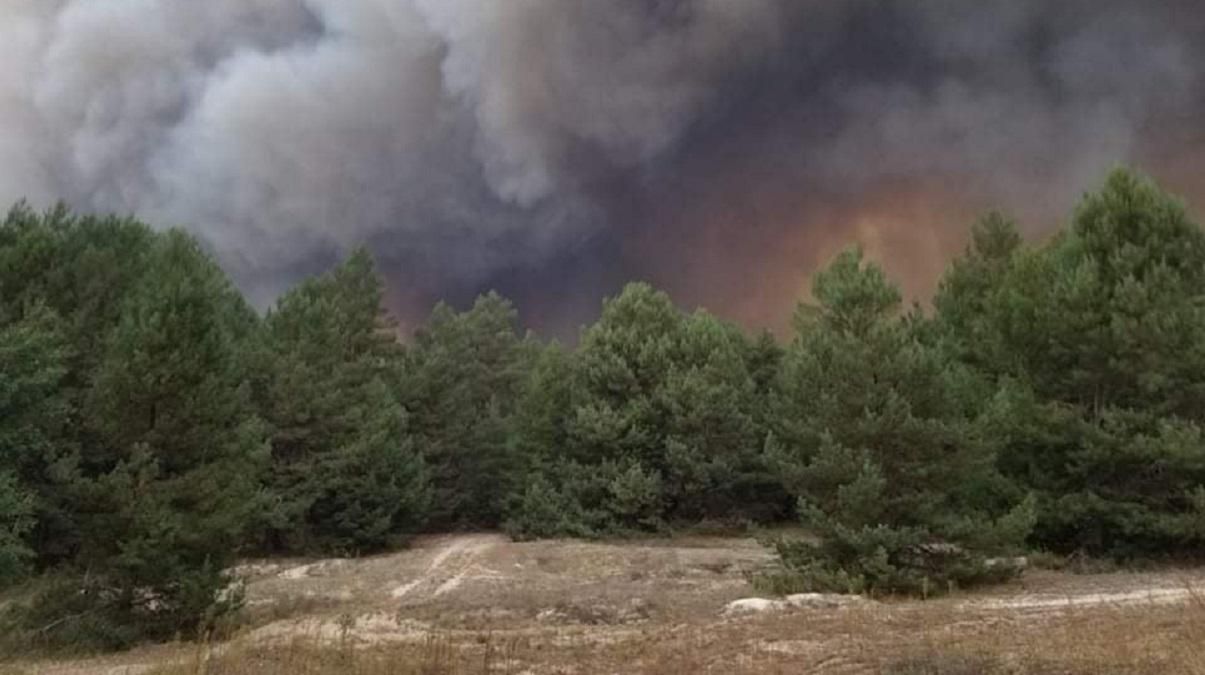 Пожарным удалось локализовать масштабный пожар на военном полигоне под Киевом Пожарным удалось локализовать масштабный пожар на военном полигоне под Киевом