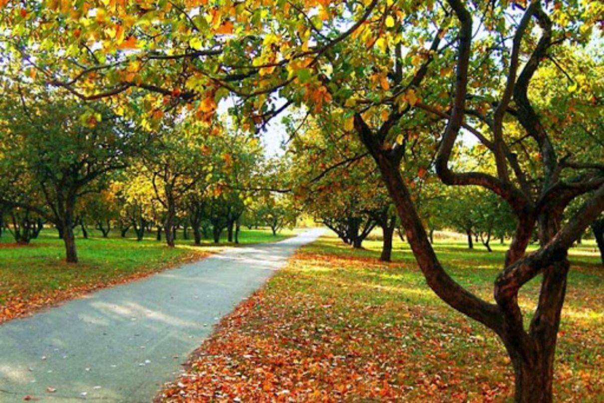 Погода 19 вересня 2020 Україна: яку погоду обіцяє синоптик Погода 19 вересня 2020 Україна: яку погоду обіцяє синоптик