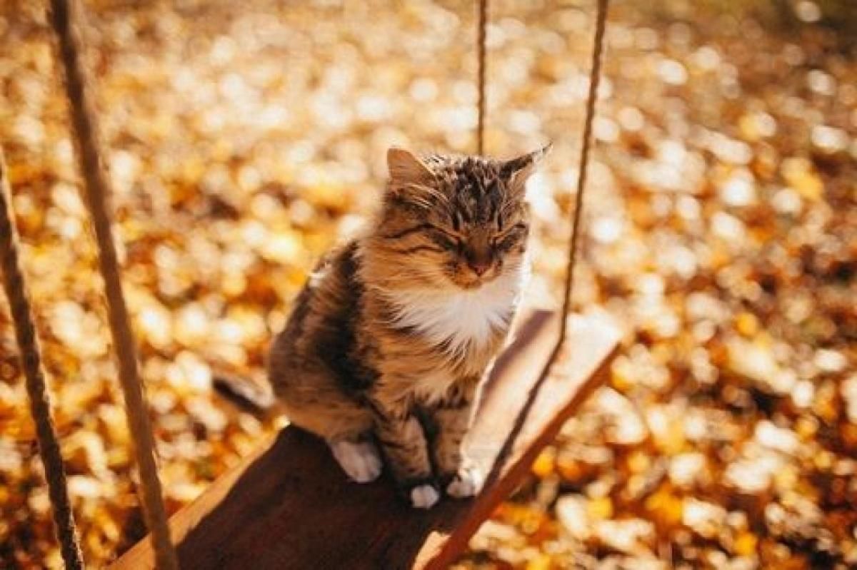 Спека в Україні у вересні 2020: коли і де чекати Спека в Україні у вересні 2020: коли і де чекати