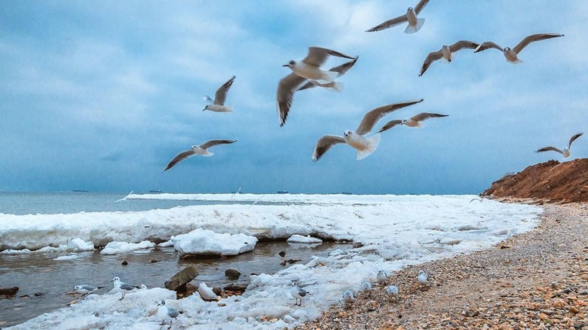 Всемирный день моря 2020: невероятные фото пляжей Украины в холодное время года
