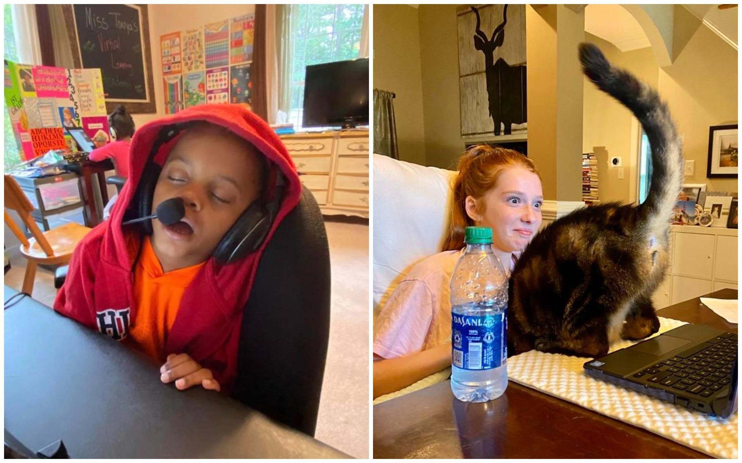 10 смешных фото о том, как тяжело детям дается дистанционное обучение 10 смешных фото о том, как тяжело детям дается дистанционное обучение