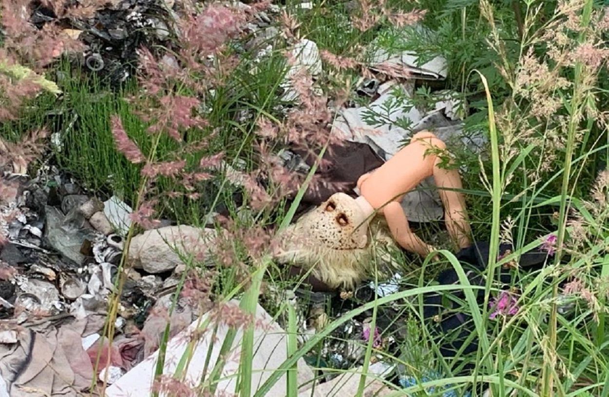 Сміття в Україні Сміття в Україні