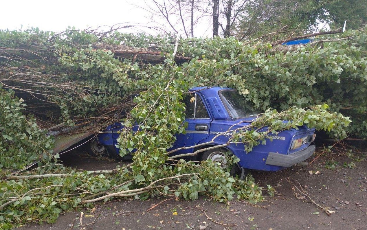Поваленные деревья и поврежденные дома: последствия урагана на Херсонщине – фото