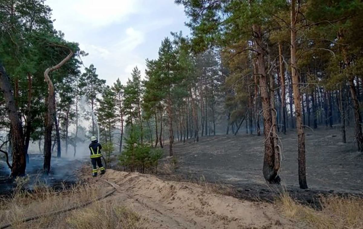 На Луганщине снова вспыхнул пожар: горит 20 гектаров леса