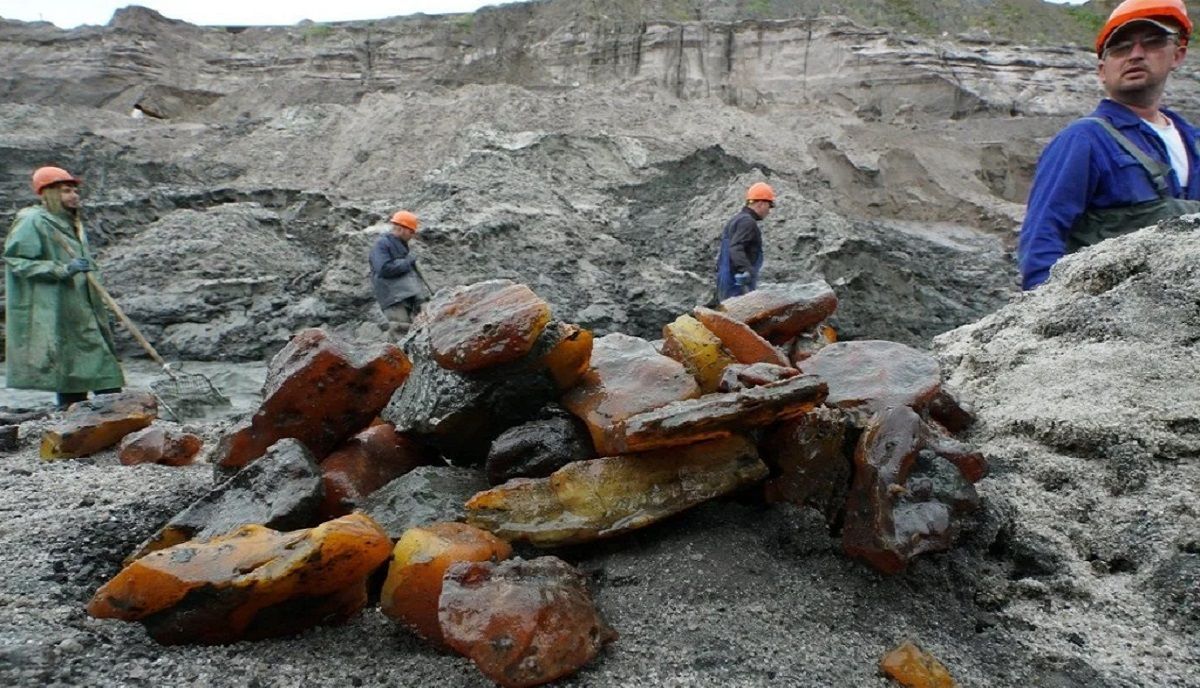 Люди боятся ходить на места незаконной добычи янтаря в Украине, – эксперт Люди боятся ходить на места незаконной добычи янтаря в Украине, – эксперт
