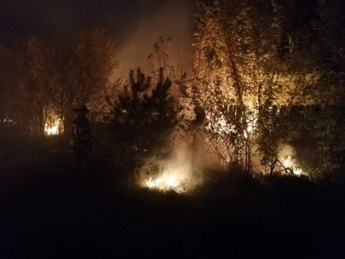 Пожары на Луганщине являются провокацией российских боевиков – ООС