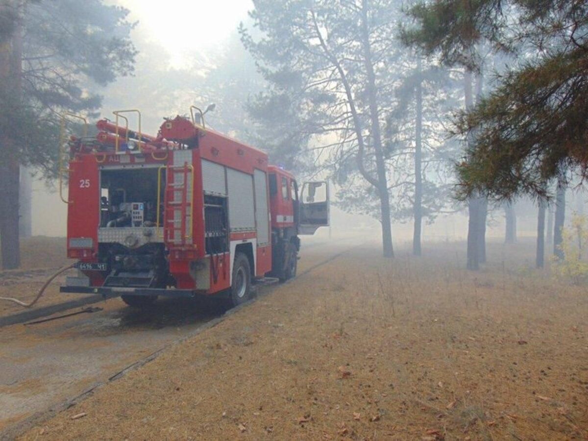 У Зеленського відреагували на пожежі на Луганщині