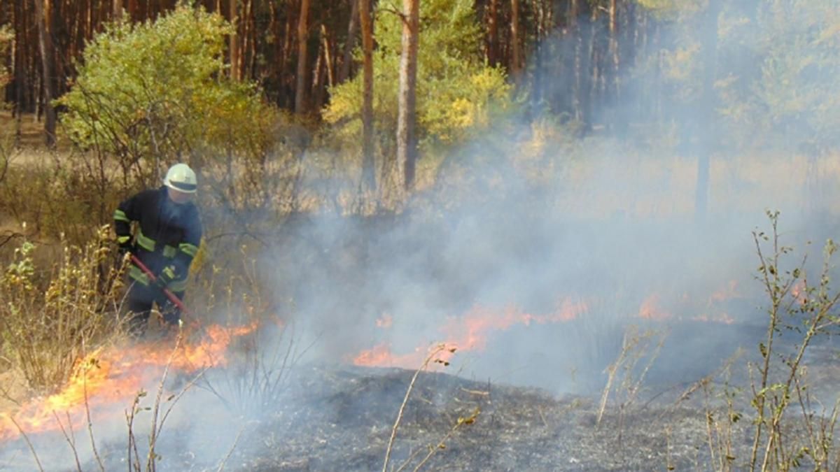 Масштабні пожежі на Луганщині: слідство не виключає версії підпалів