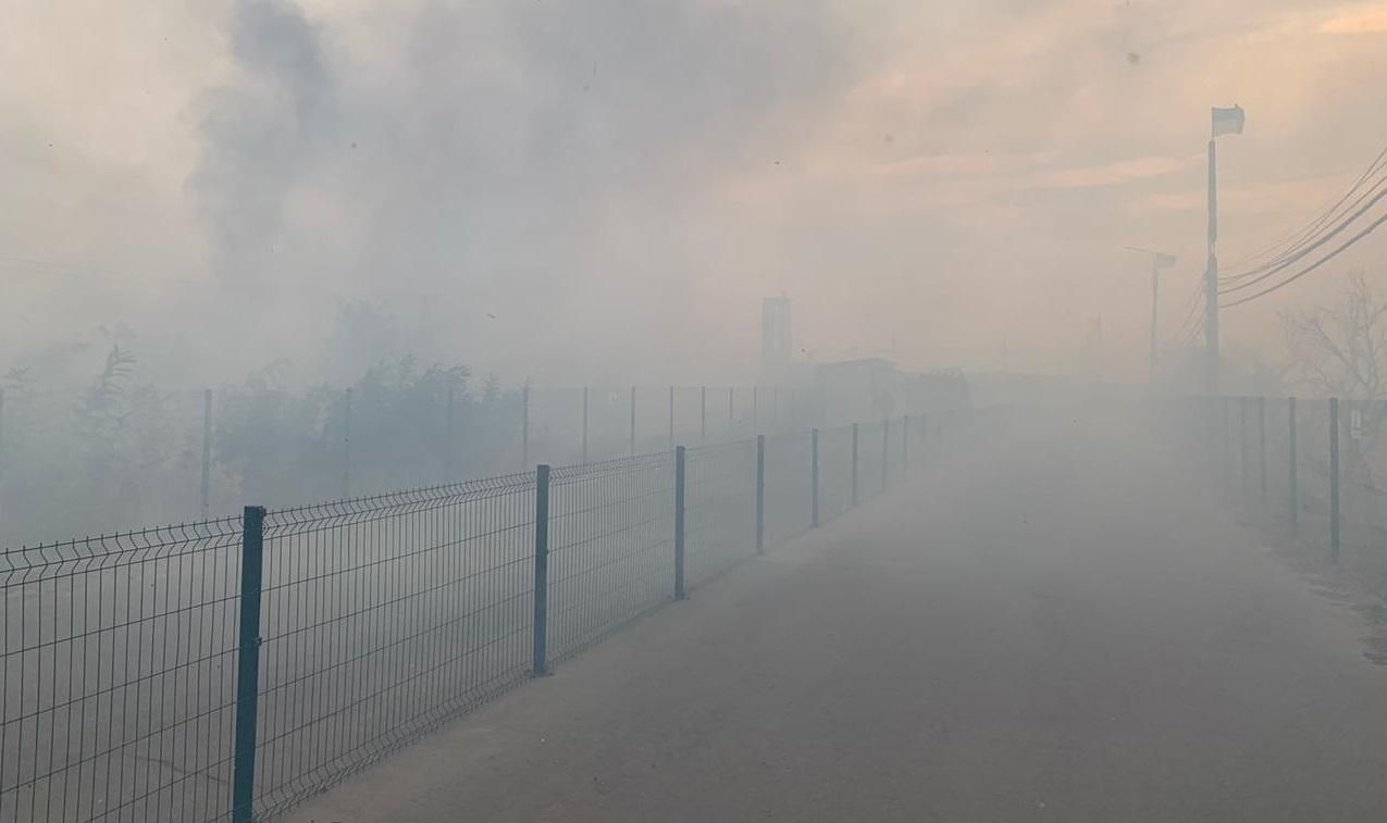 Лісові пожежі на Луганщині: пожежу біля КПВВ локалізували