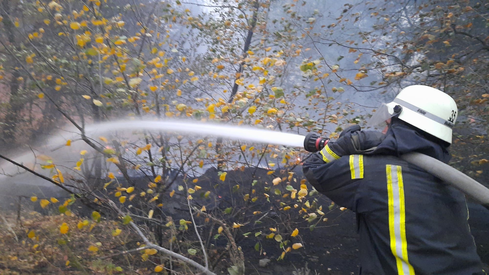 Верхового пожара на Луганщине почти нет, - глава ДСНС Верхового пожара на Луганщине почти нет, - глава ДСНС