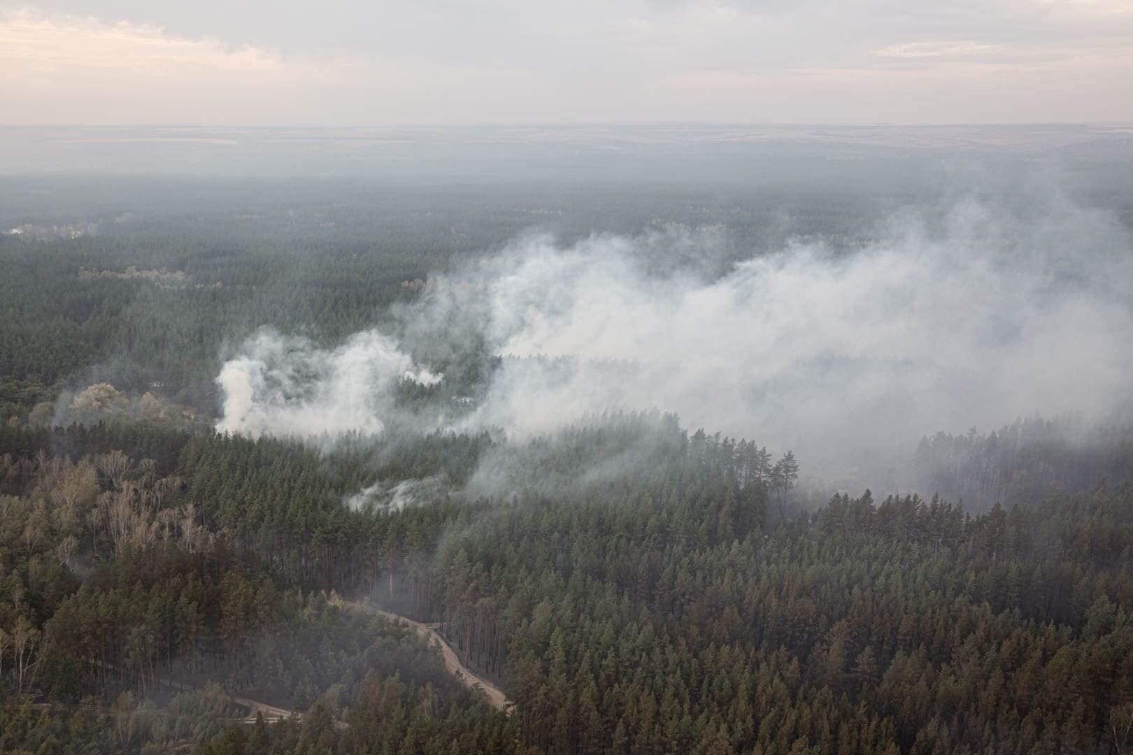 Лісові пожежі на Луганщині: які селища постраждали, фото з висоти